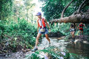 BIB: 
                            <button type="button" onclick="openModal(25438283)" class="btn btn-primary btn-sm float-right btn-popup" data-toggle="modal" data-target=".modal-high-quality">
                        <i class="fas fa-shopping-cart"></i> Add to Cart
                    </button>
                                            <button type="button" onclick="isThisMe(25438283, true)" class="btn btn-success btn-sm float-right btn-popup btn-isme hidden" data-toggle="tooltip" data-placement="bottom" title="นี่คือรูปของคุณใช่ไหม คลิกที่นี่เพื่อเอาเข้าอัลบั้ม">
                        <i class="fas fa-plus"></i> Add to album
                    </button>
                    <button type="button" onclick="isThisMe(25438283, false)" class="btn btn-warning btn-sm float-right btn-popup btn-isnotme hidden">
                        <i class="fas fa-ban"></i> Remove from album
                    </button>